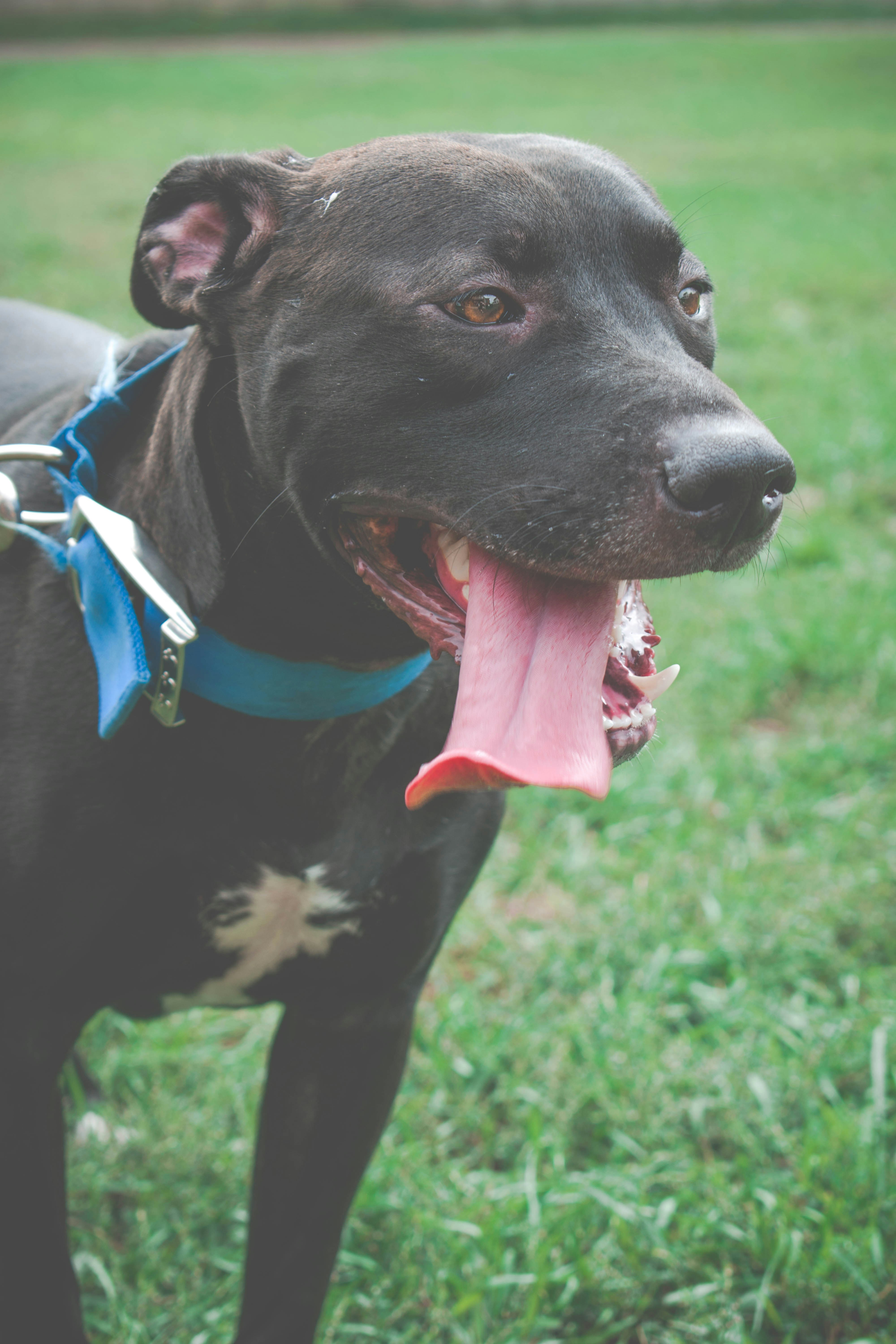 Photo by jey_photography