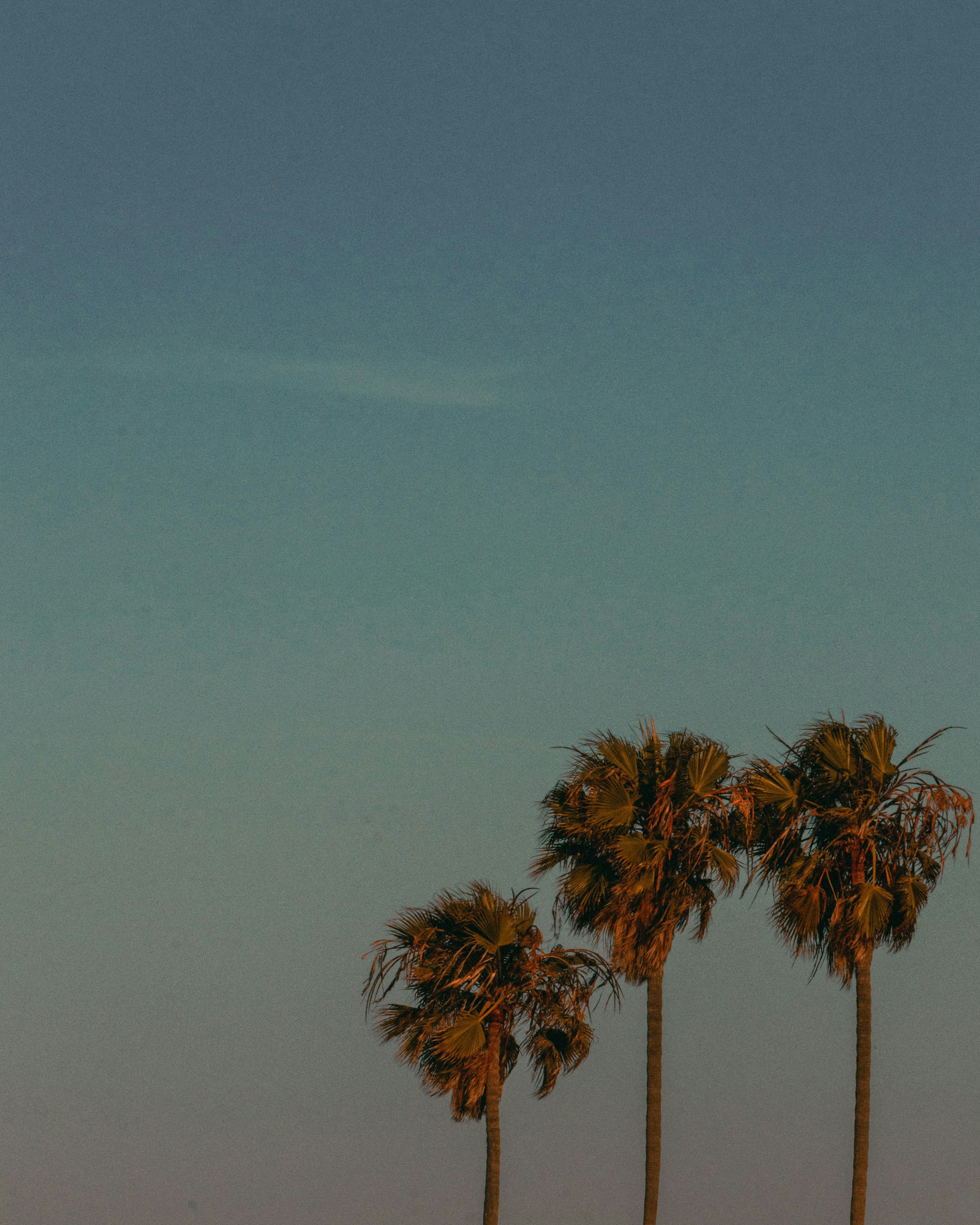 Photo by hernameismora