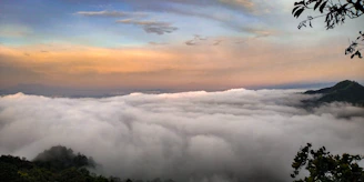 A breathtaking aerial shot of Bogor's lush green landscapes captured at golden hour.