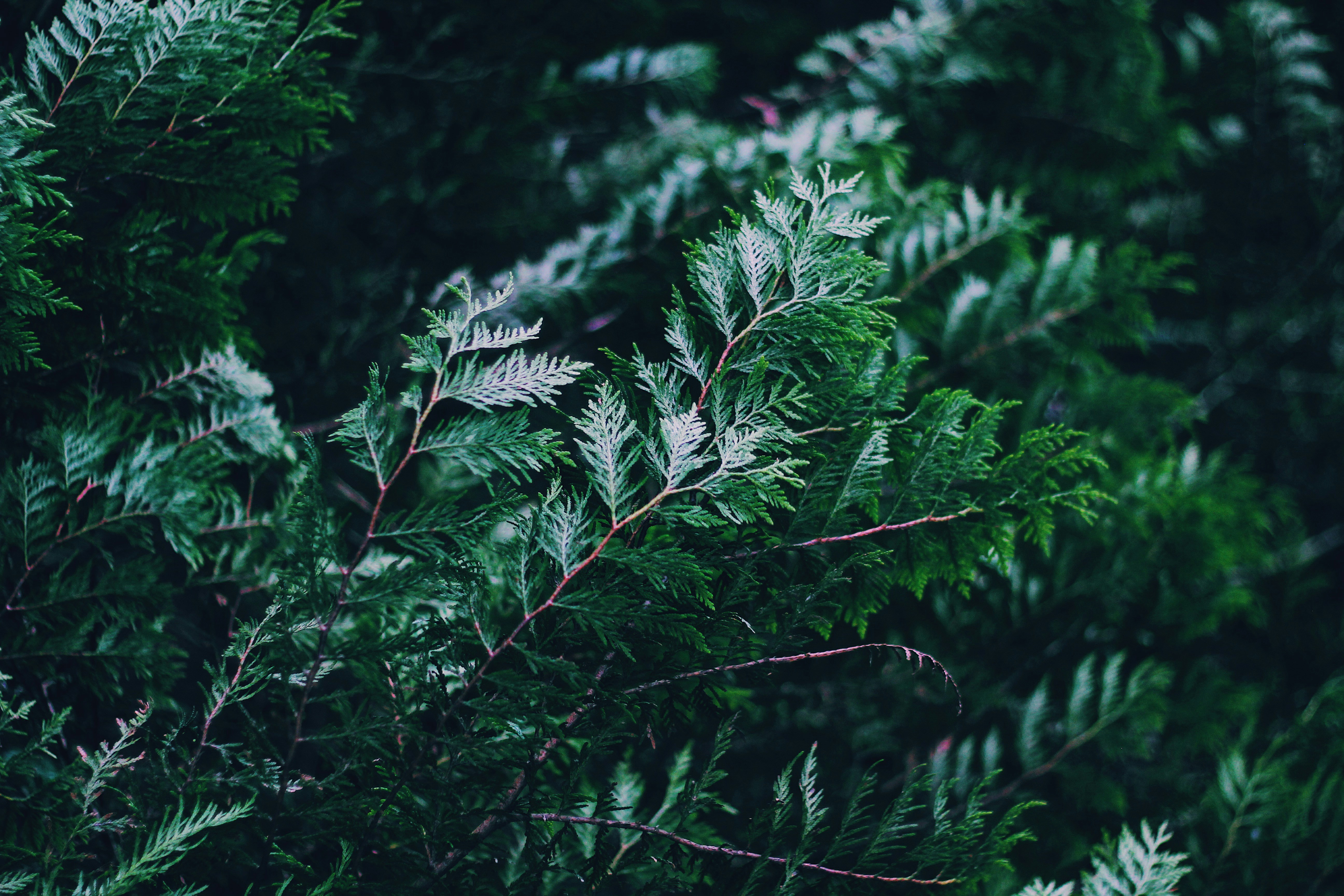 Photo by haannahomayounfar