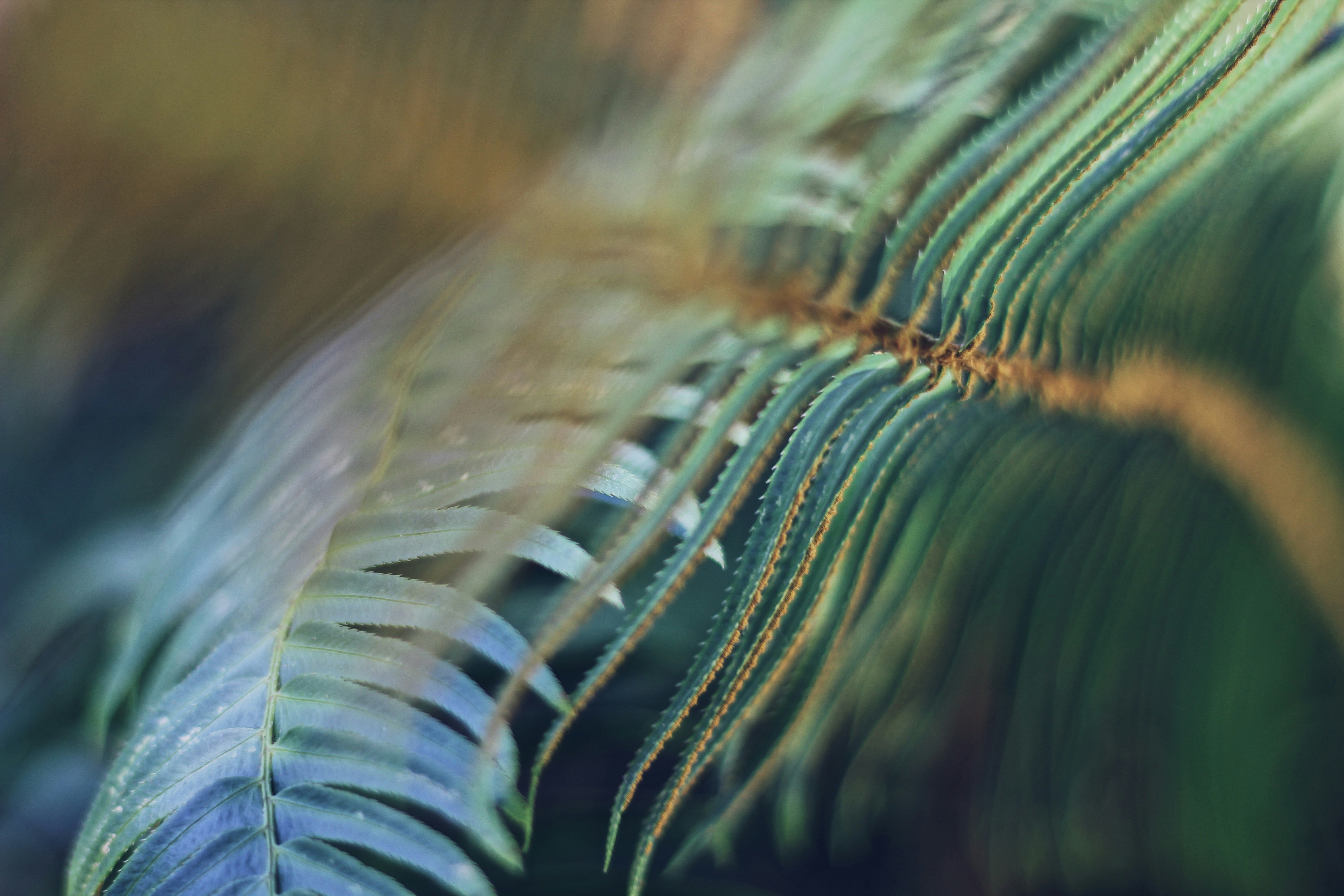 Photo by haannahomayounfar