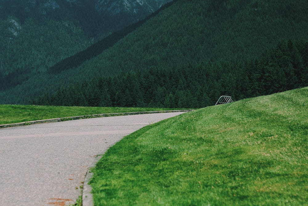 road in between grass field