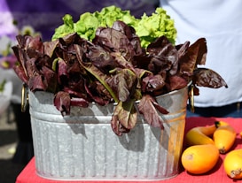 A metal container filled with fresh red and green leafy vegetables is placed on a red fabric surface. To the right, a few yellow squash are visible. The background features a blurred purple and white setting.