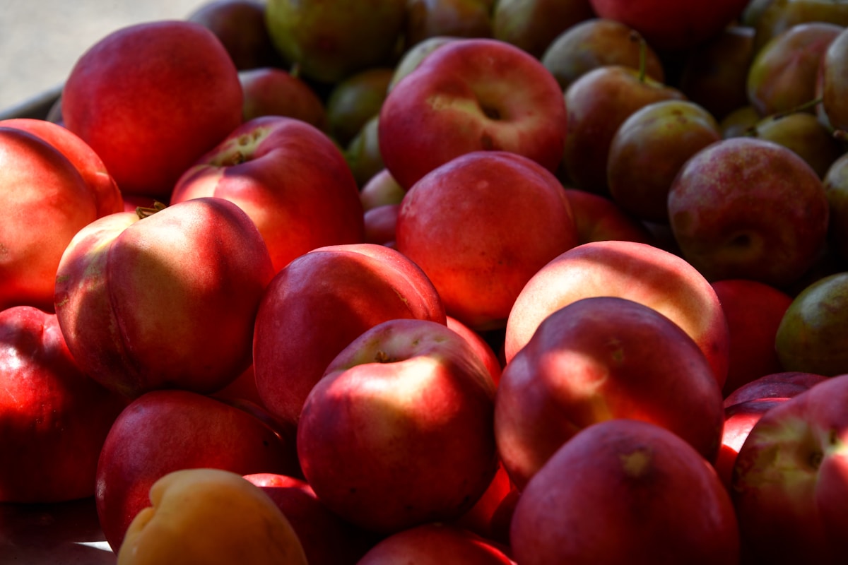 Pest control Kerrytown Ann Arbor MI market district