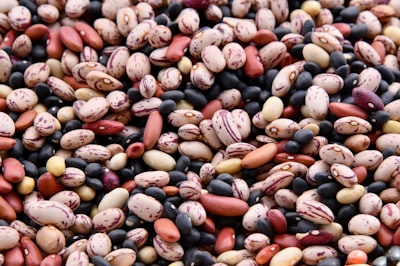 assorted-colored bean lot beans zoom background