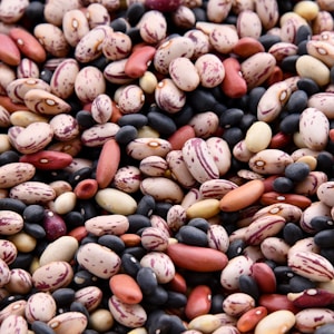 assorted-colored bean lot