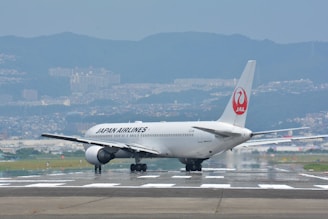 white airplane