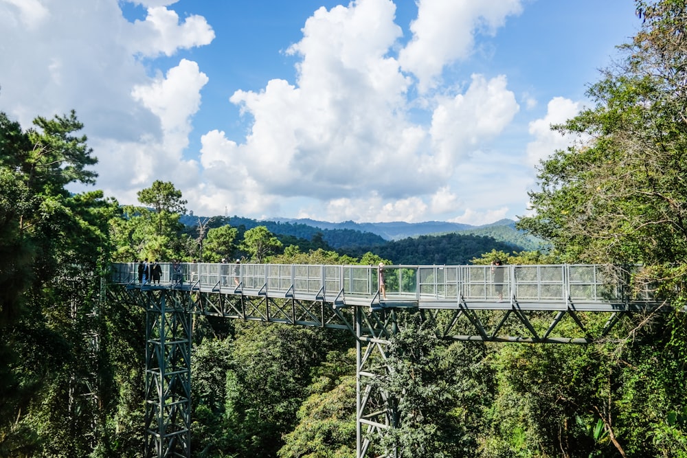 bridge near trees during daytime