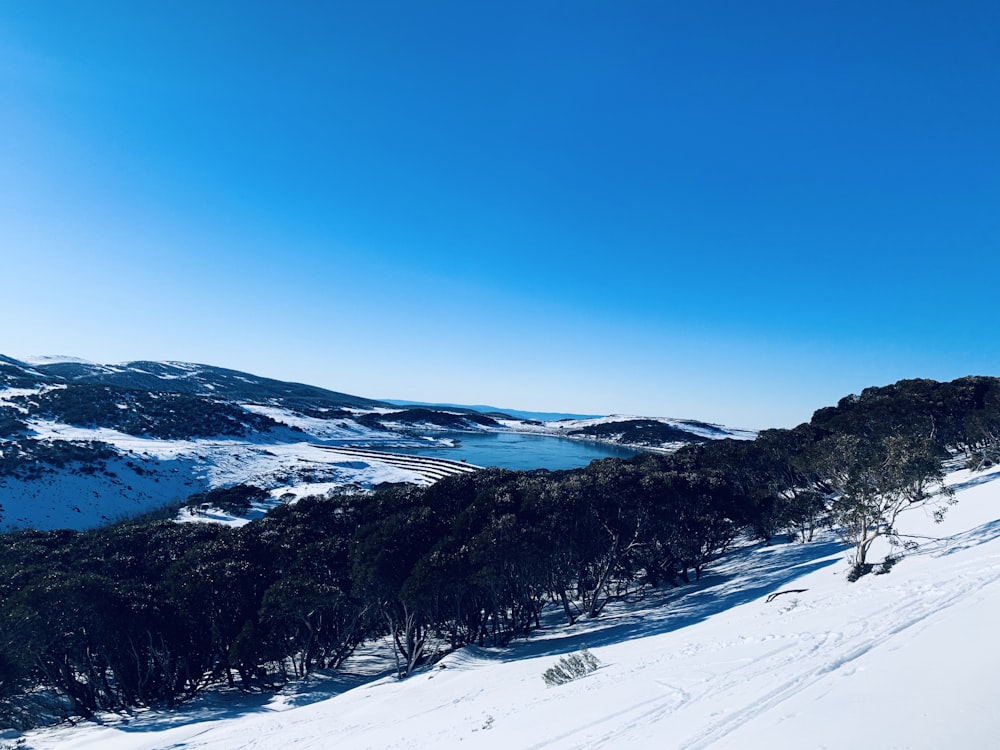 montaña cubierta de nieve bajo el cielo azul