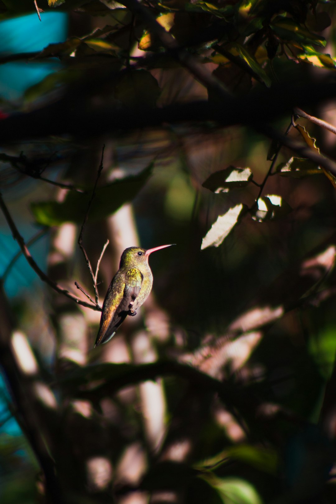 green bird on selective focus photography