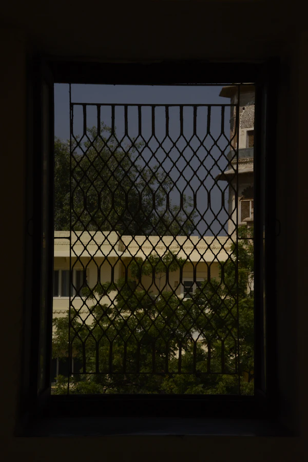Udaipur lake view