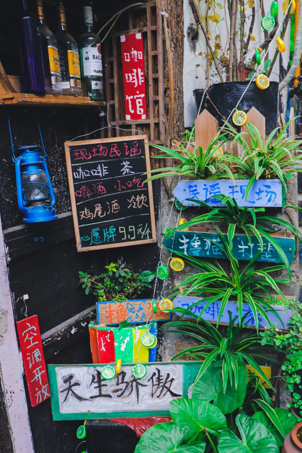 green-leafed plants