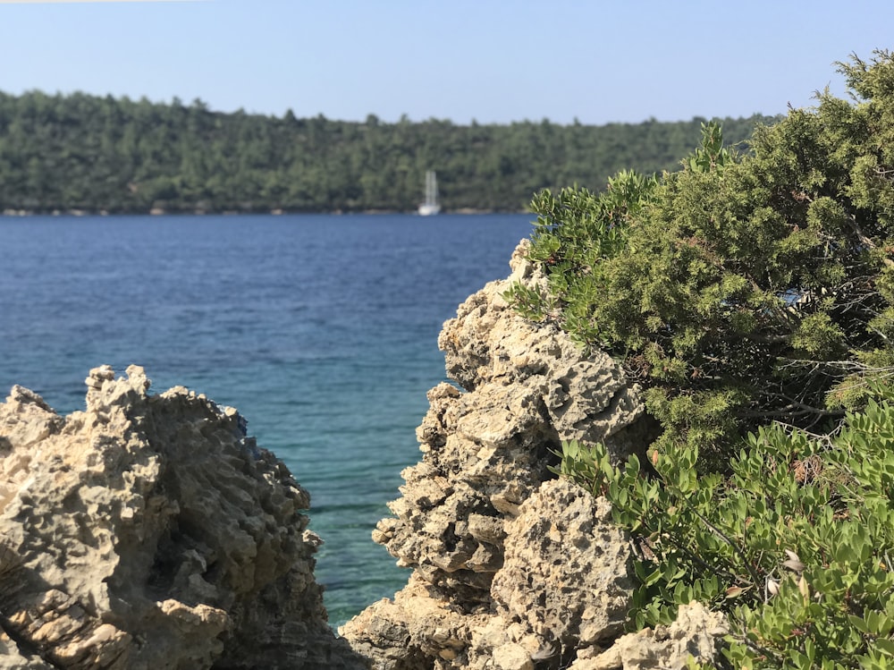 rock formations near sea