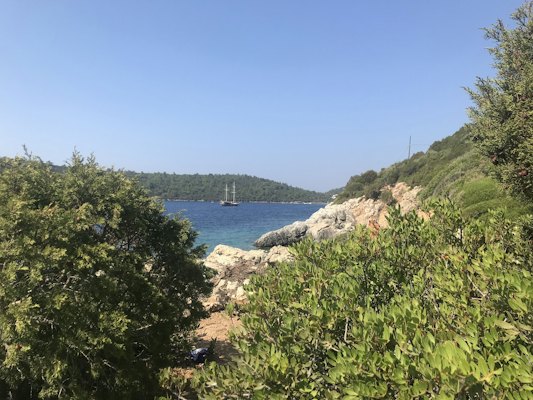A view of a body of water surrounded by trees — Bodrum, Turkey