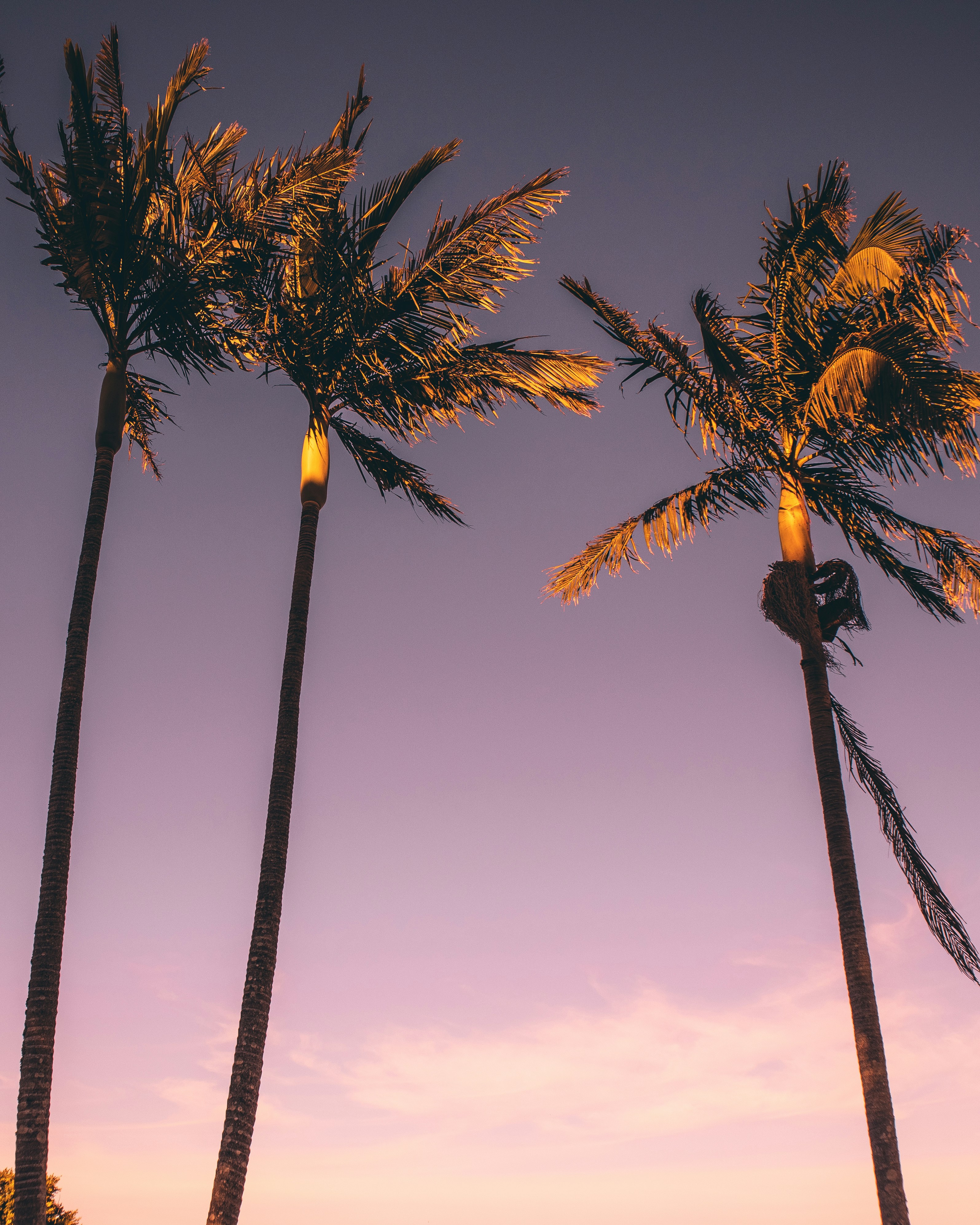 Photo by lochieriordan