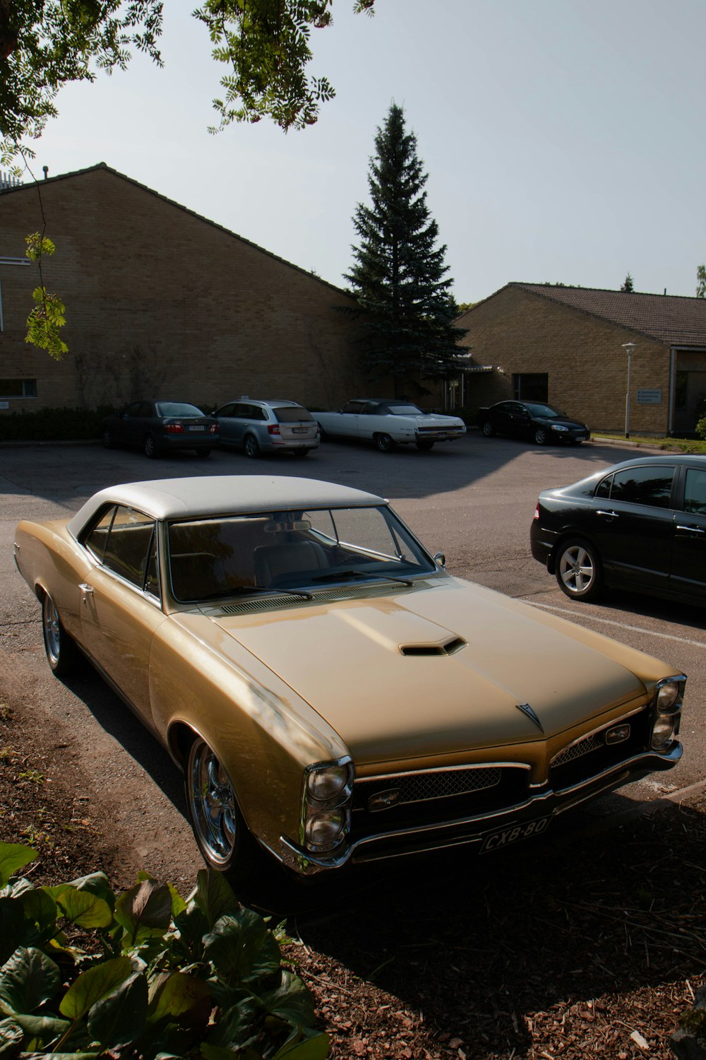 brown coupe