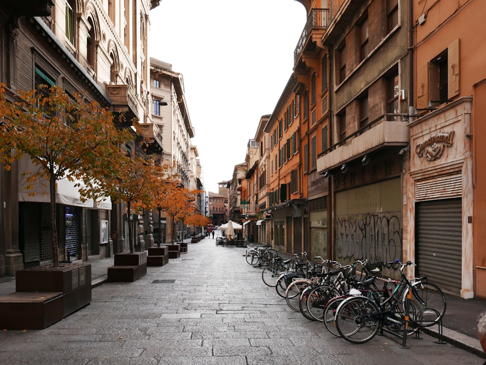 photography of bicycle parked beside road during daytime