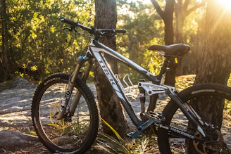 black and white Trek mountain bike