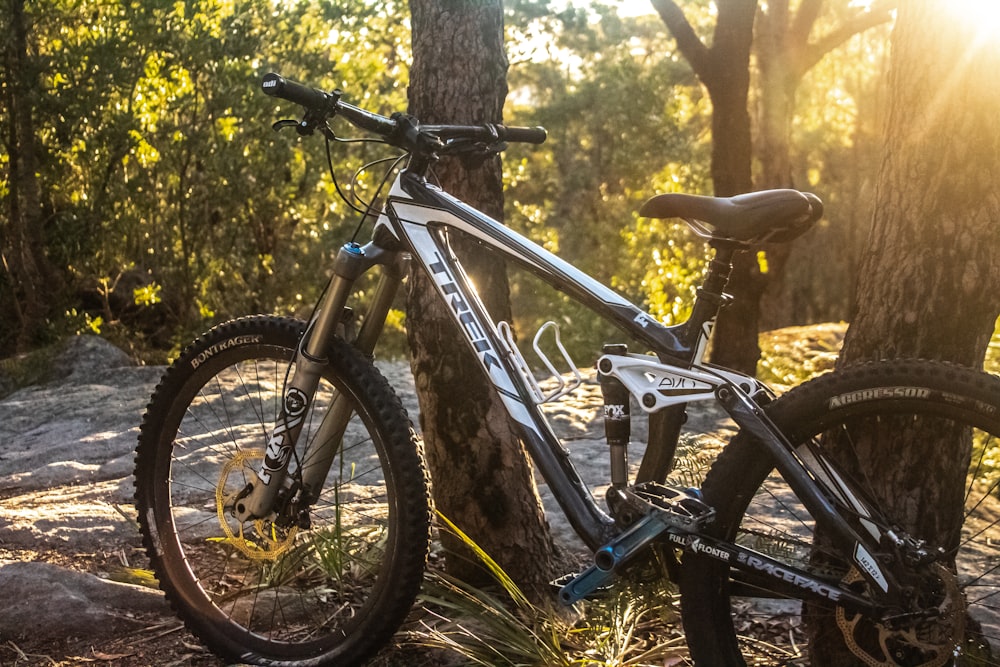 black and white Trek mountain bike