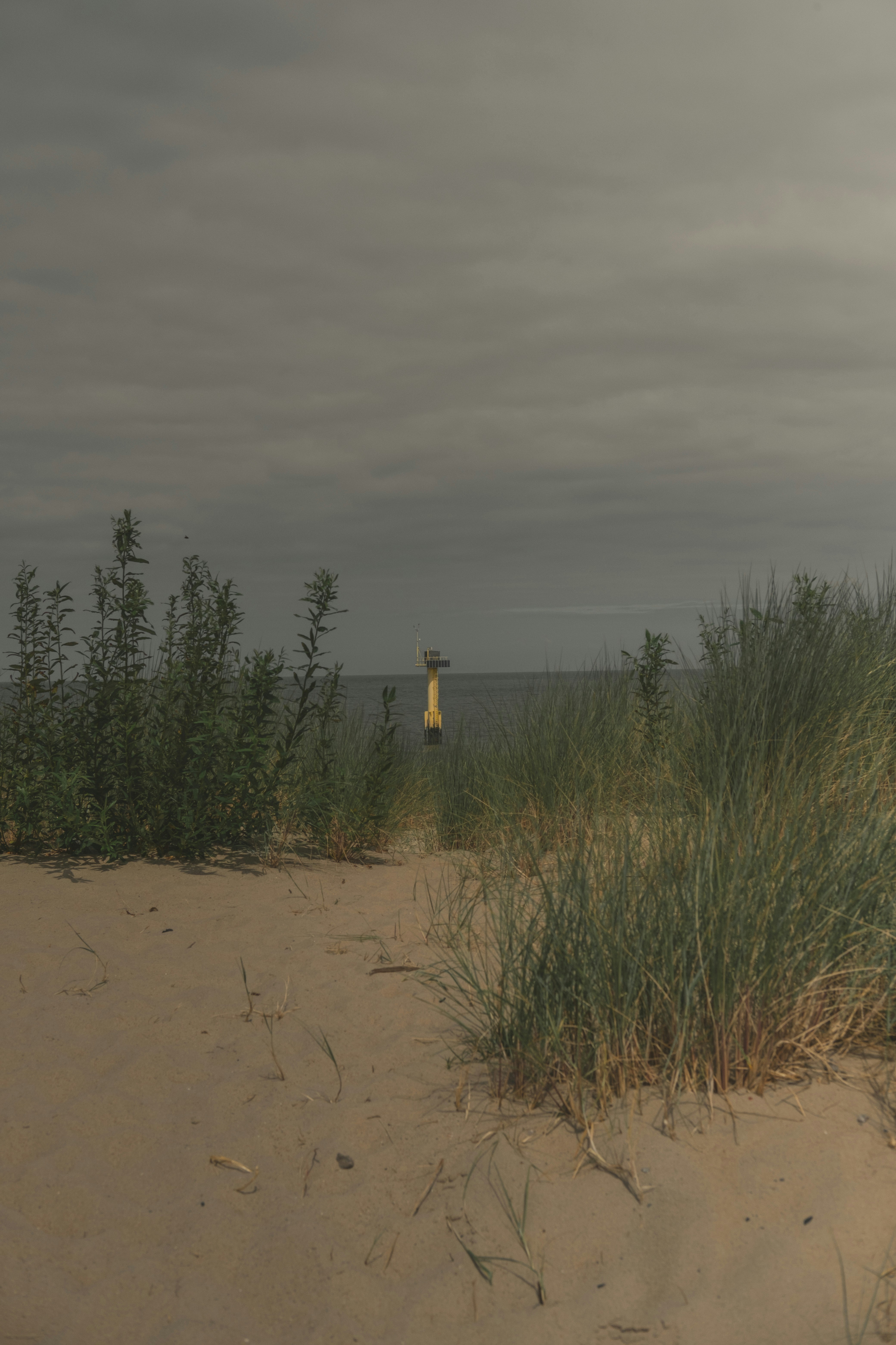 Photo by mimoto_photo