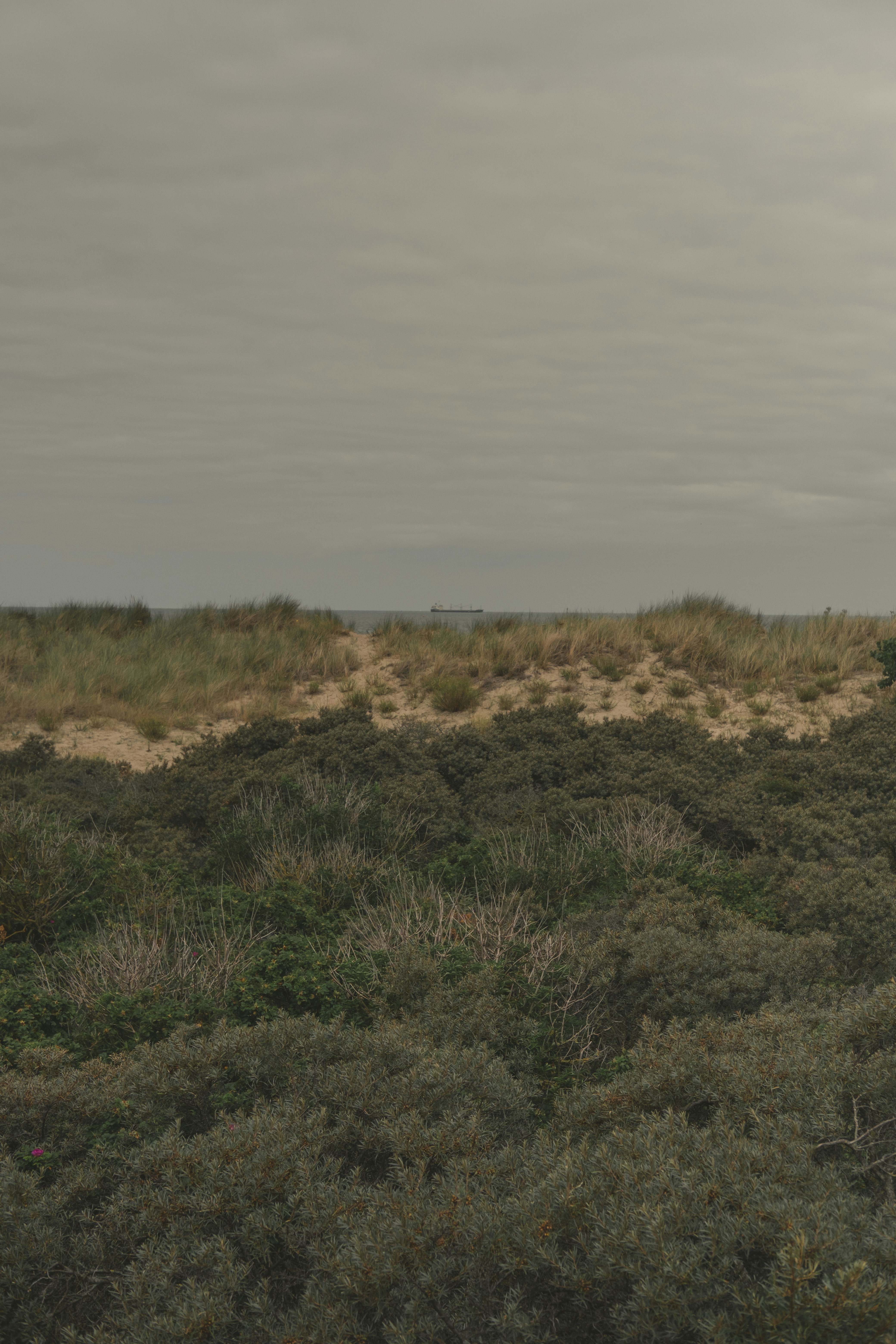 Photo by mimoto_photo