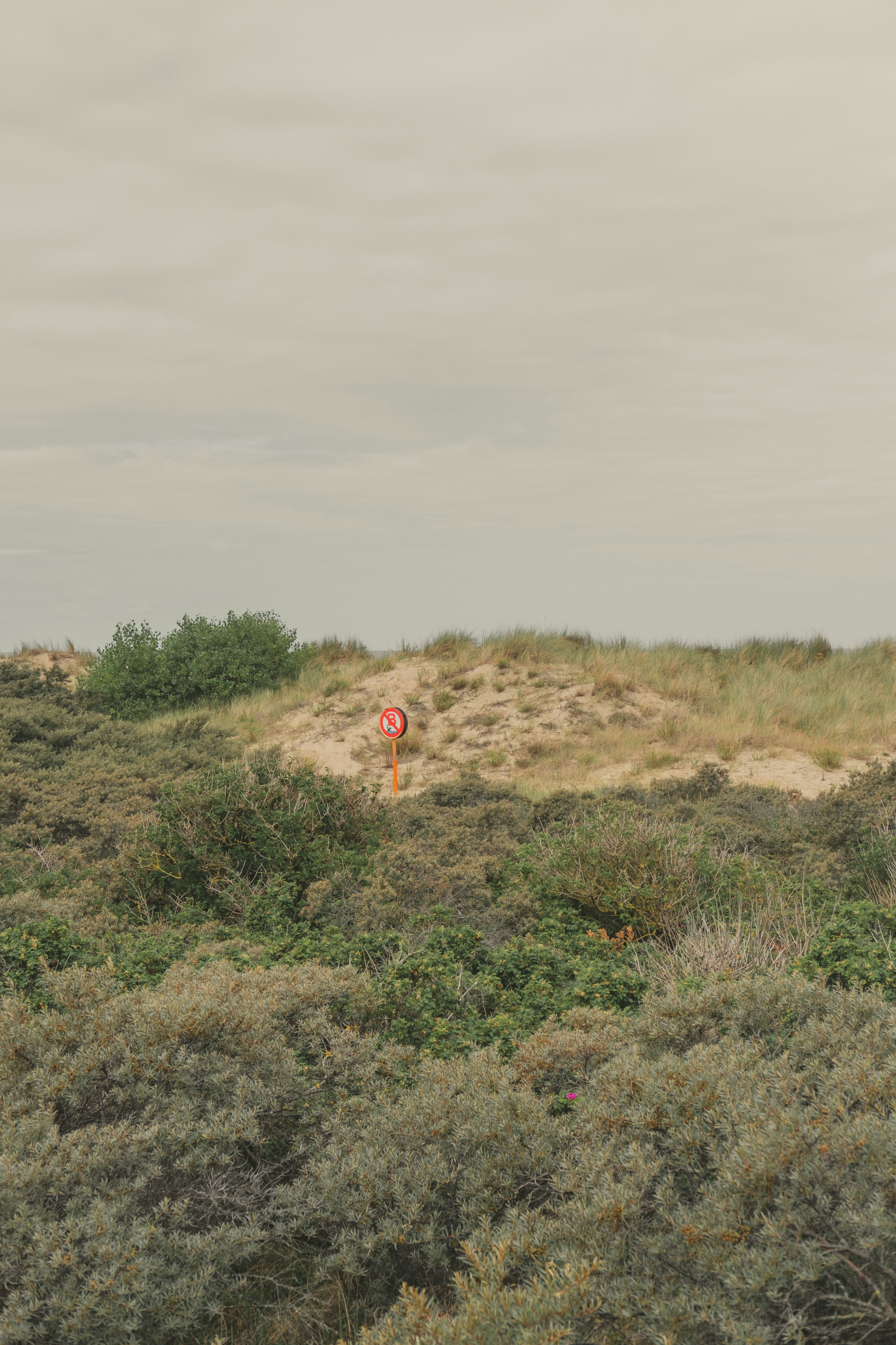 Photo by mimoto_photo