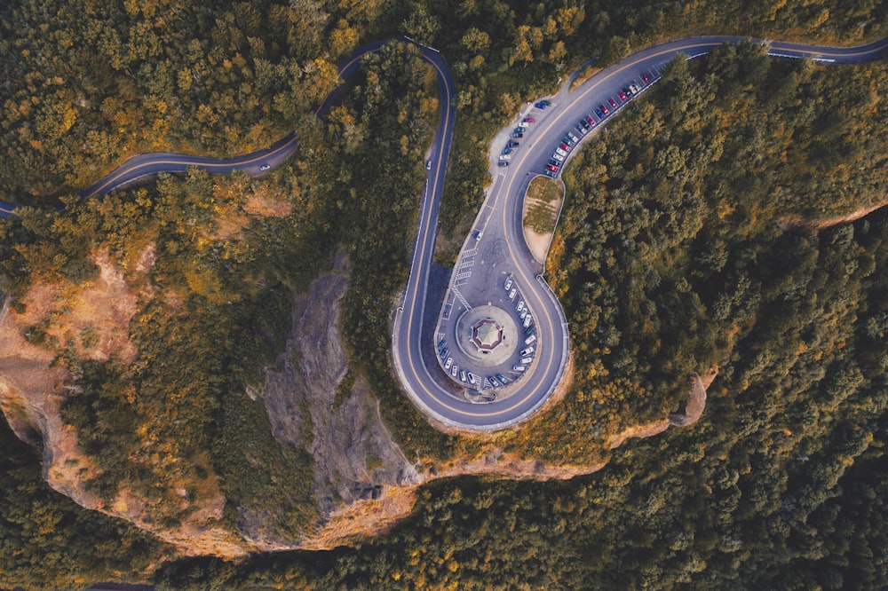 grey road and trees in aerial photography