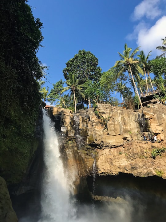 waterfalls beside green trees during daytime in Tegenungan Waterfall Indonesia