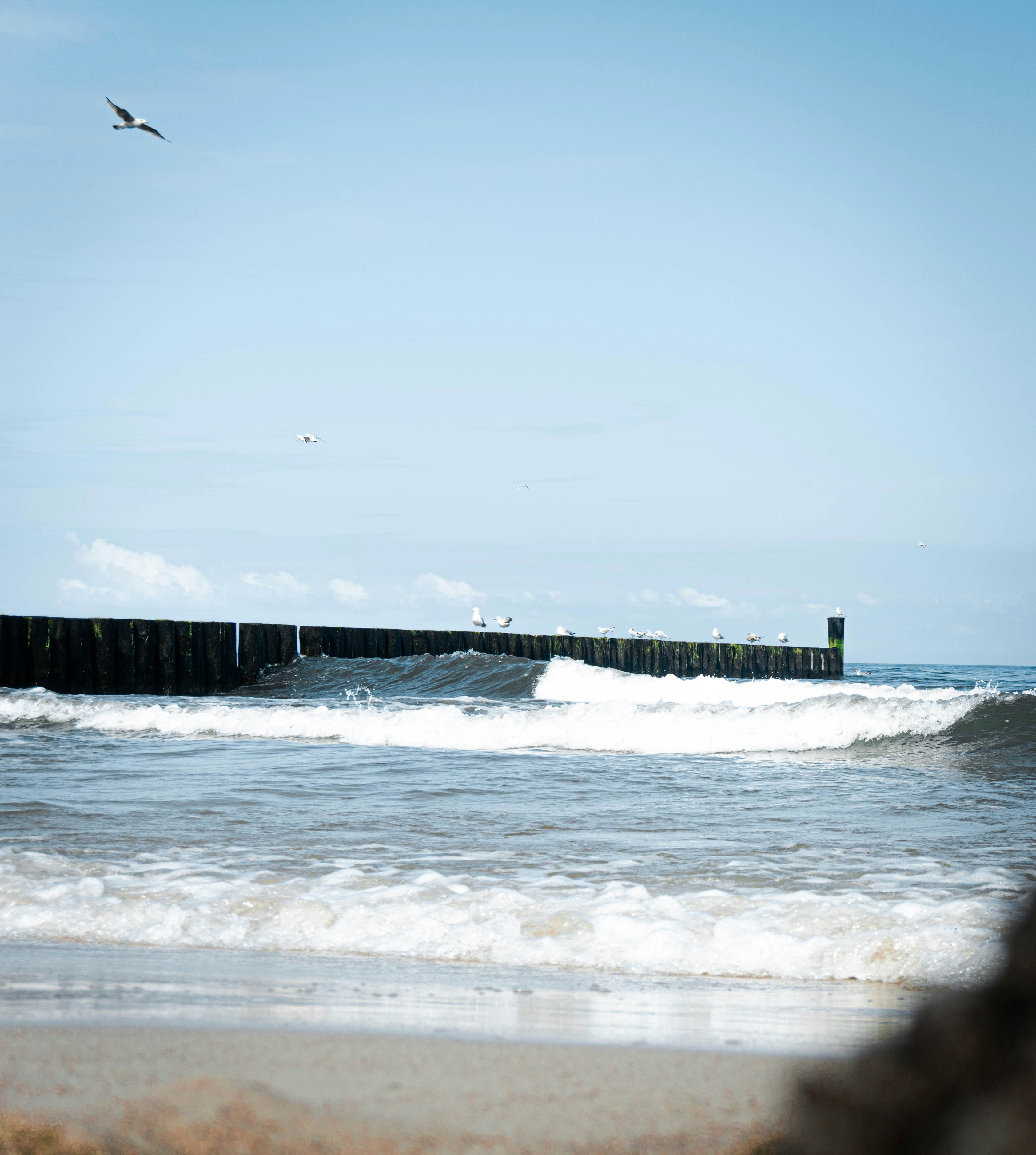 Photo by matt_wojtas