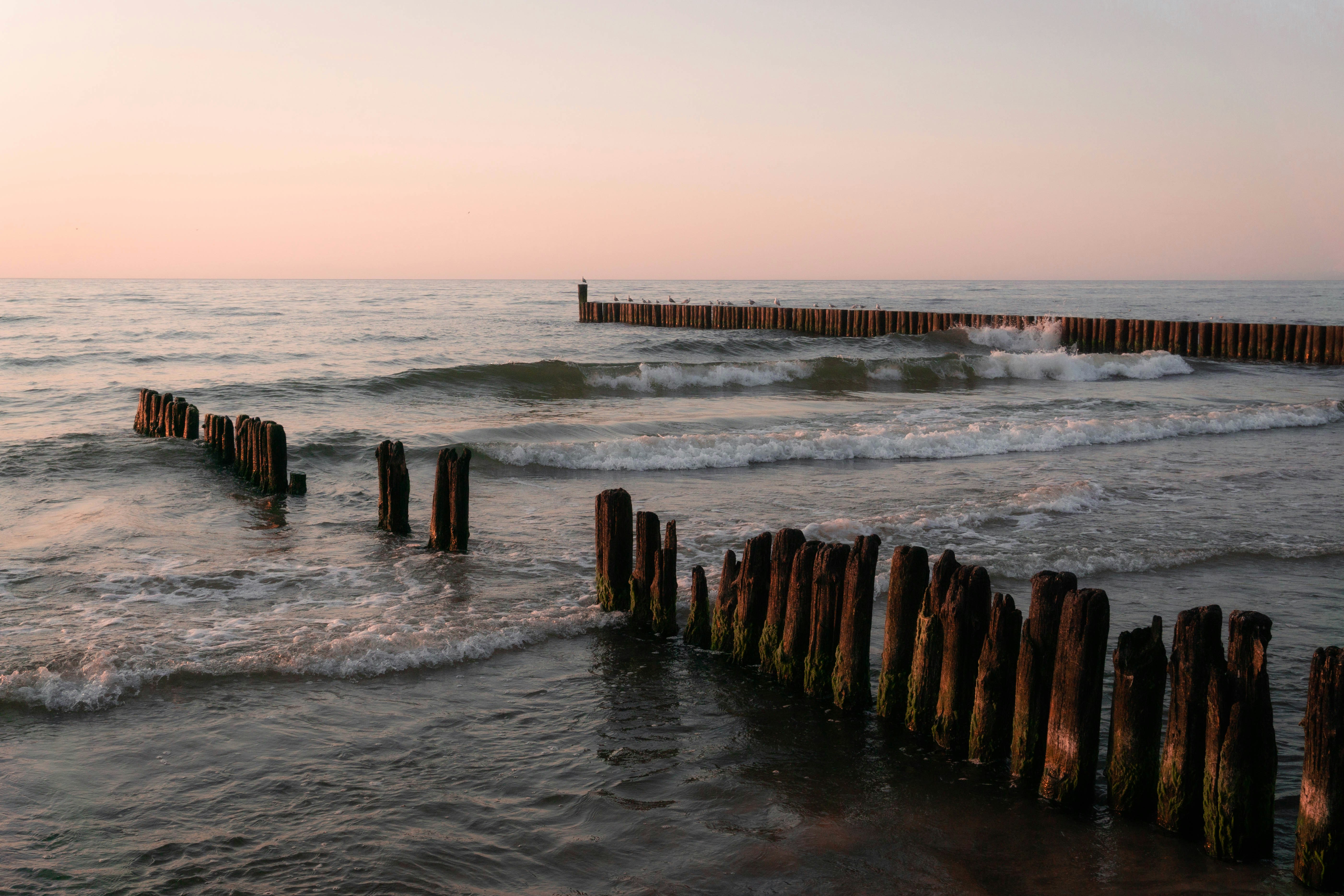 Photo by matt_wojtas