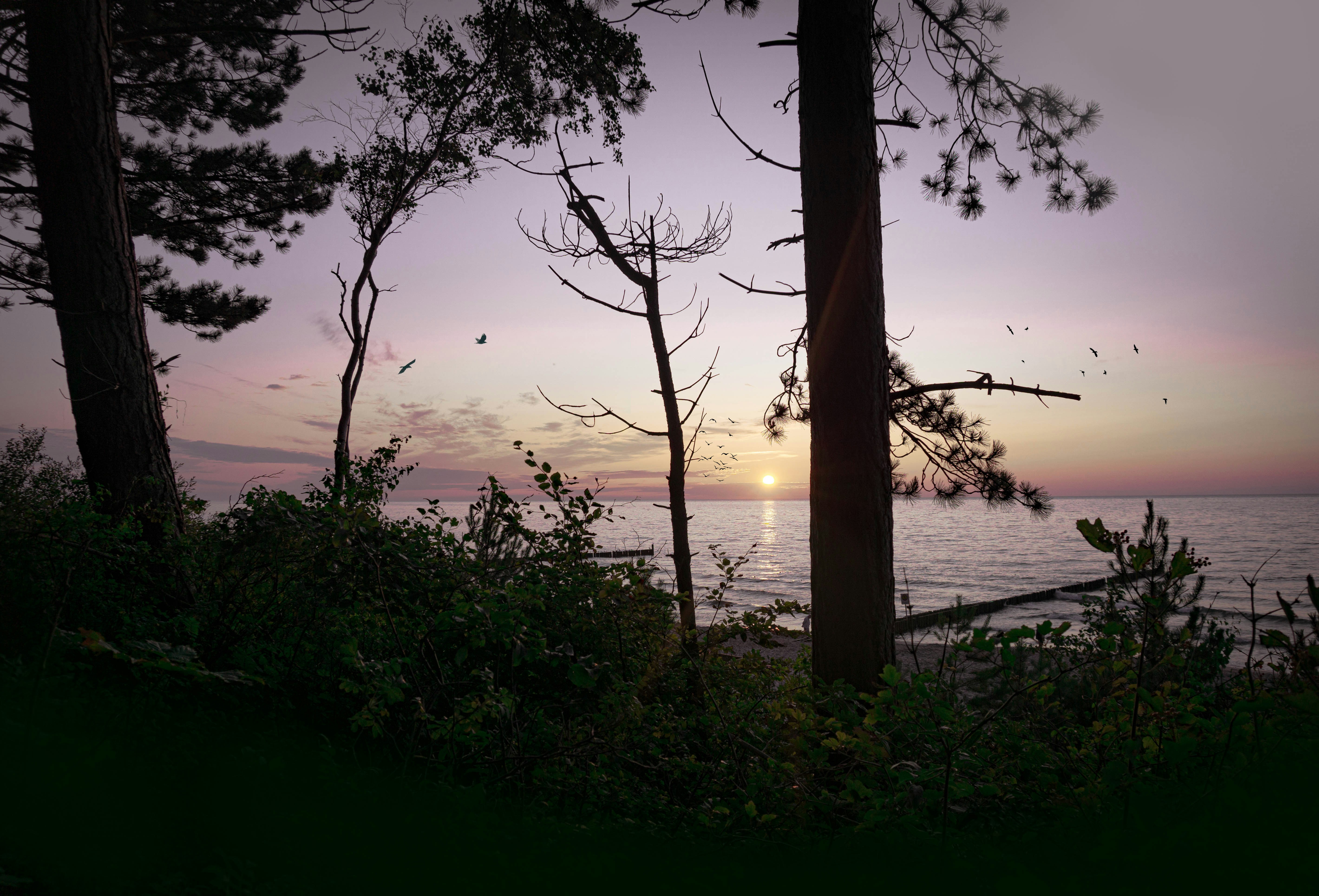 view of the sea at sunset