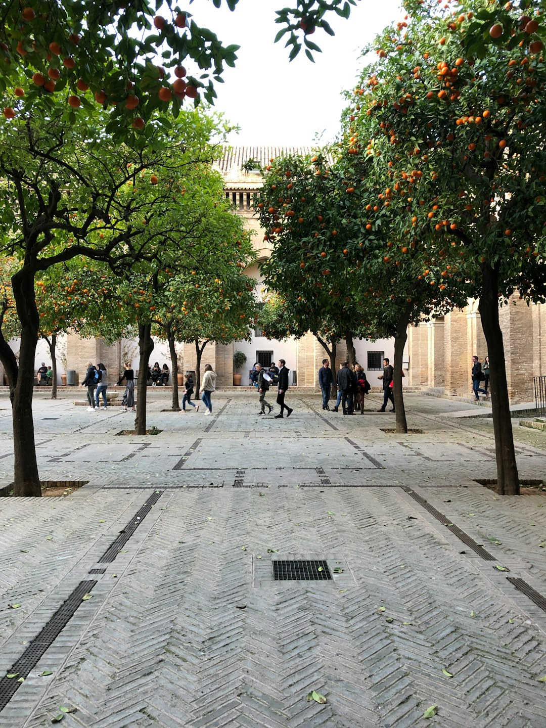 Town photo spot Av. de la Constitución Jerez de la Frontera