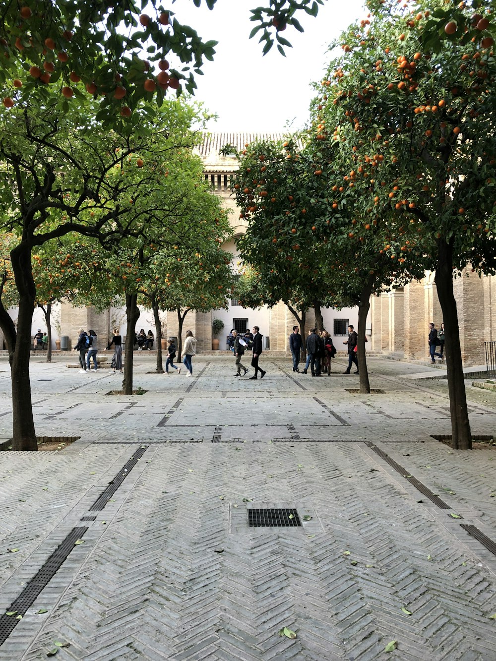 people walking on park