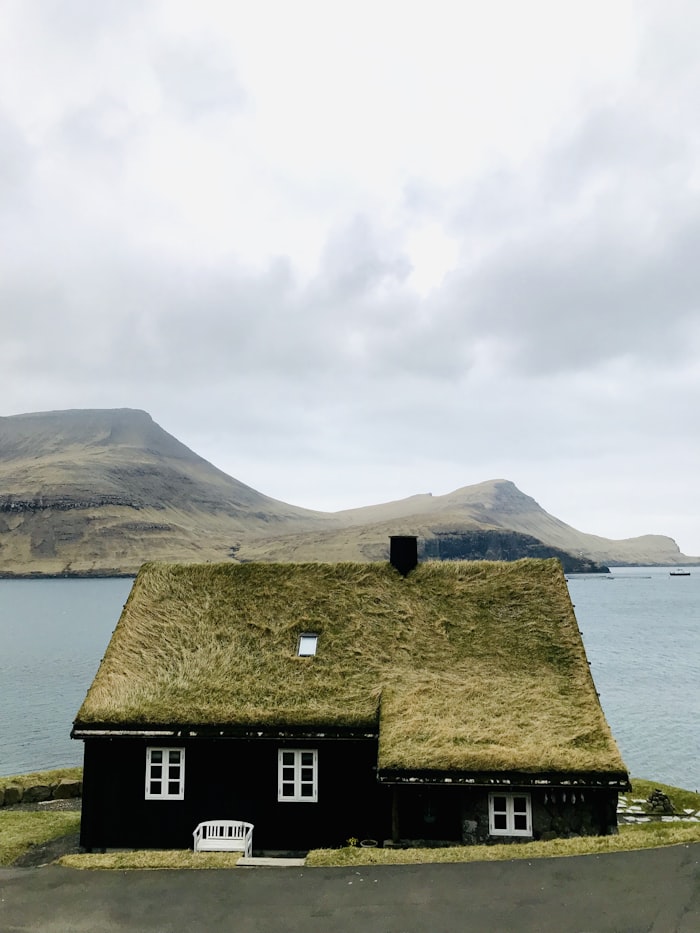 Traditional turf-roof house by the sea — Artem Galychyi on Unsplash