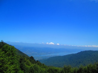 A serene view of New Zealand's lush green hills and tranquil lakes.