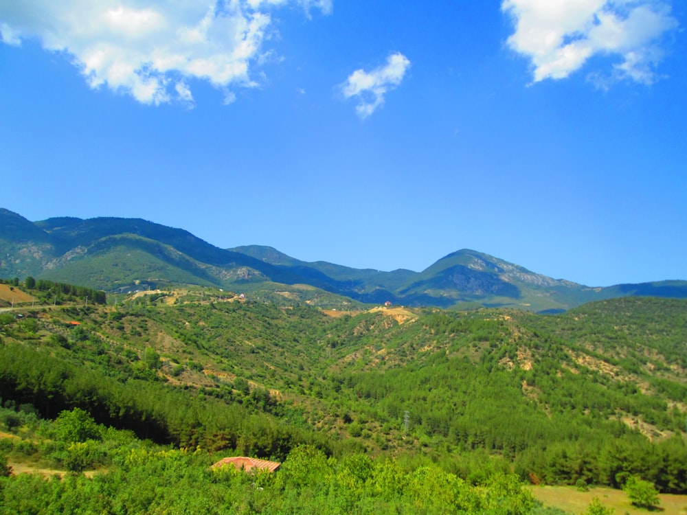 landscape photo of a green valley forest