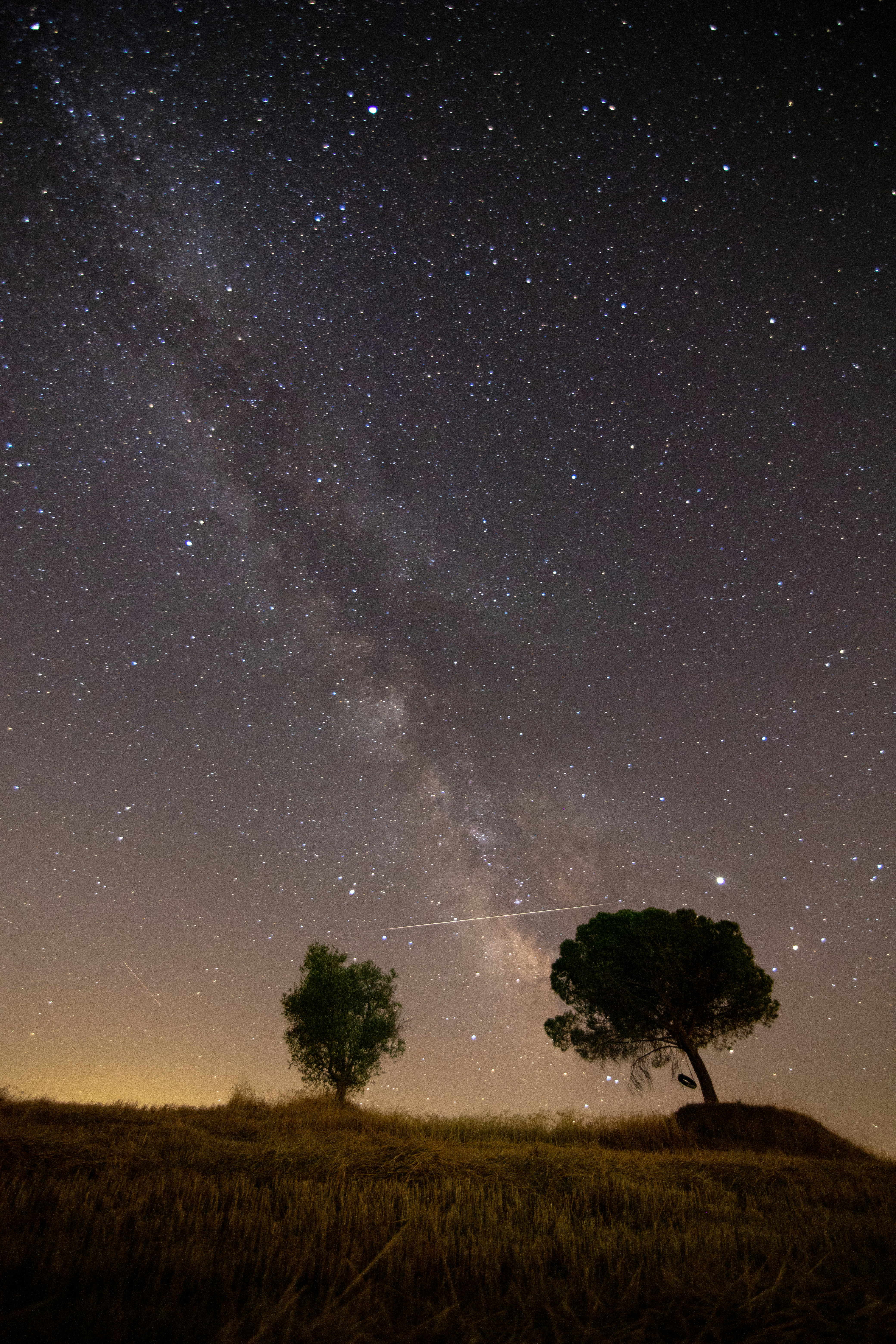 Photo by markophotography