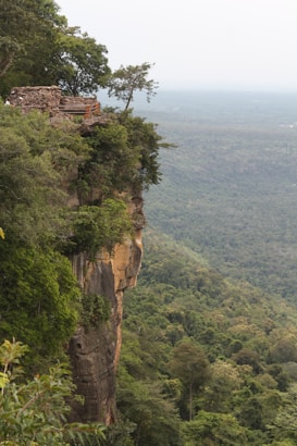 A cliff edge adorned with lush greenery overlooks a vast, dense forest. Stack of stones or a small structure can be seen near the edge of the cliff, surrounded by trees. The horizon fades into the distance, offering a serene and expansive view of unspoiled nature.