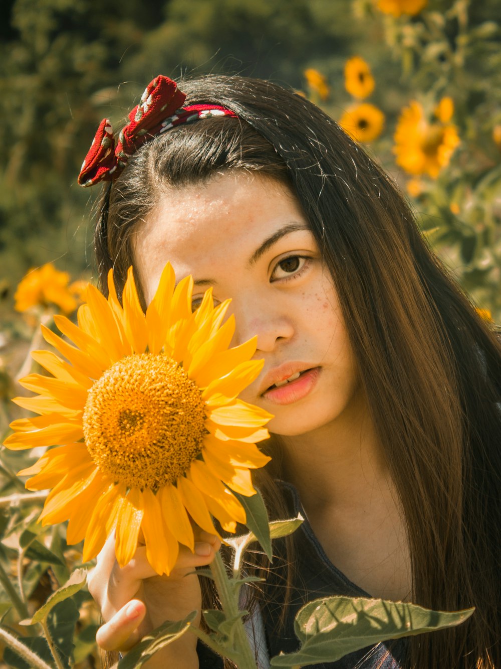 woman holding sunflower