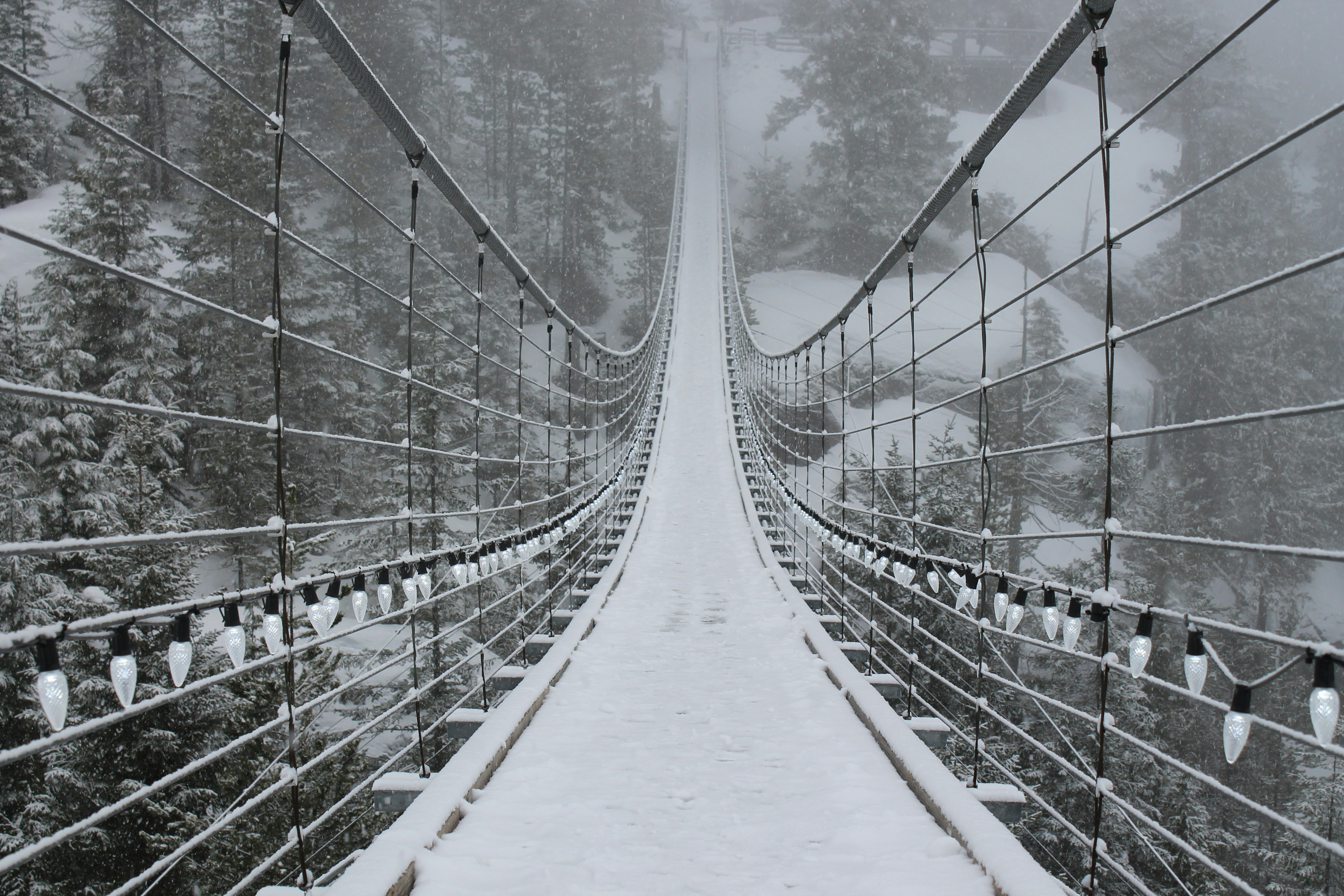 snowy bridge