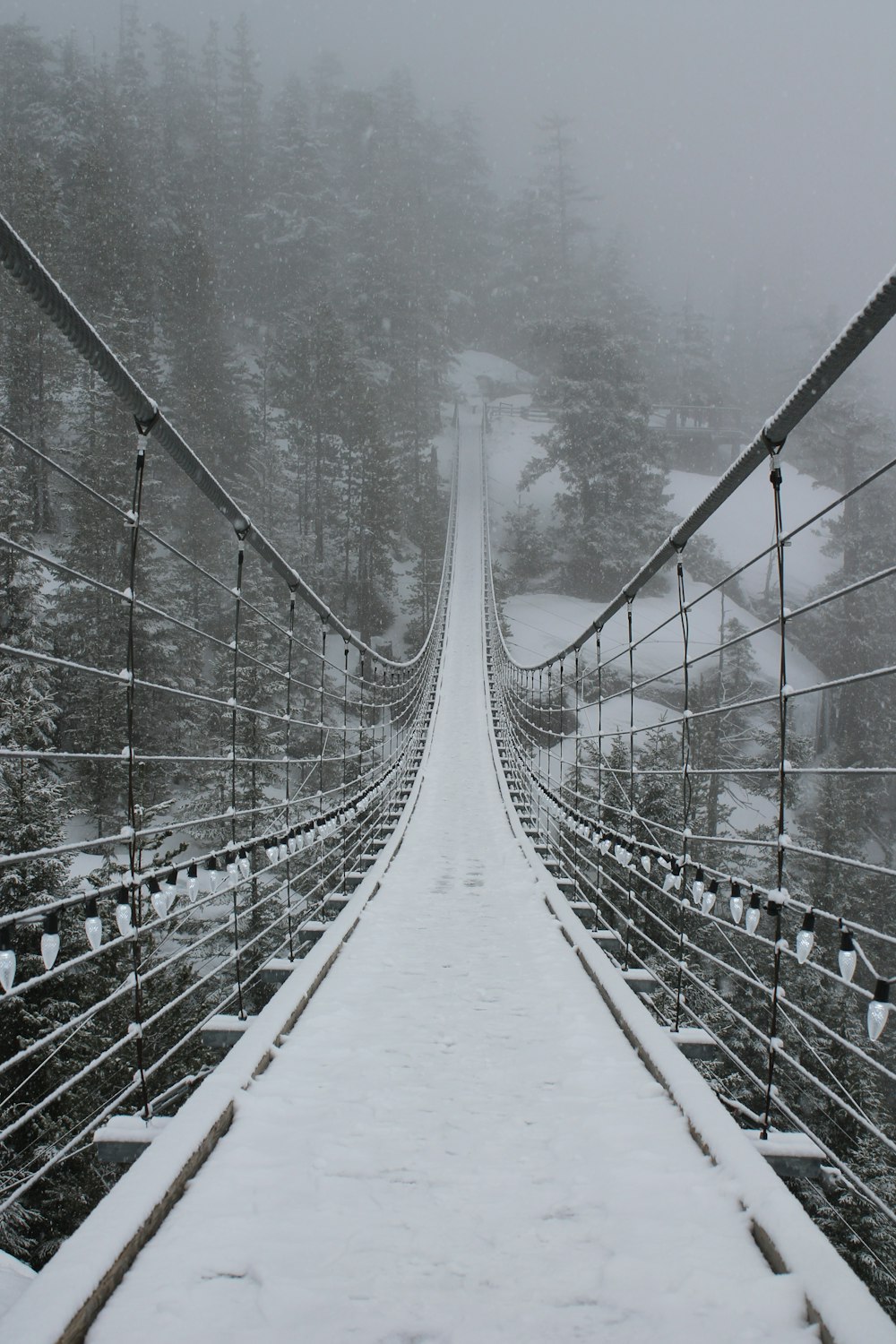 hanging bridge on snow