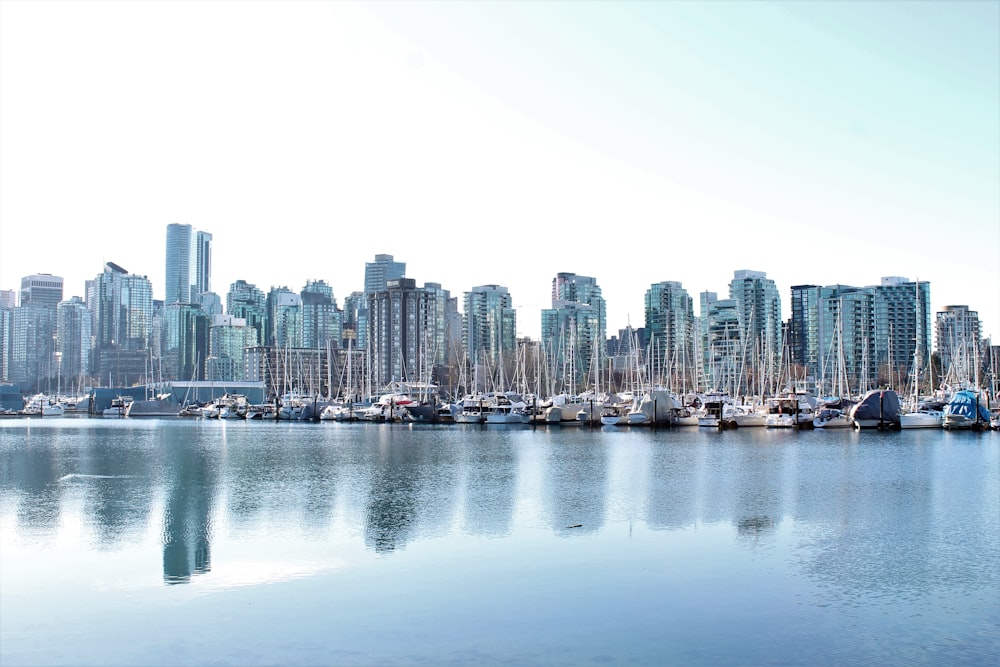 body of water near high buildings at daytime