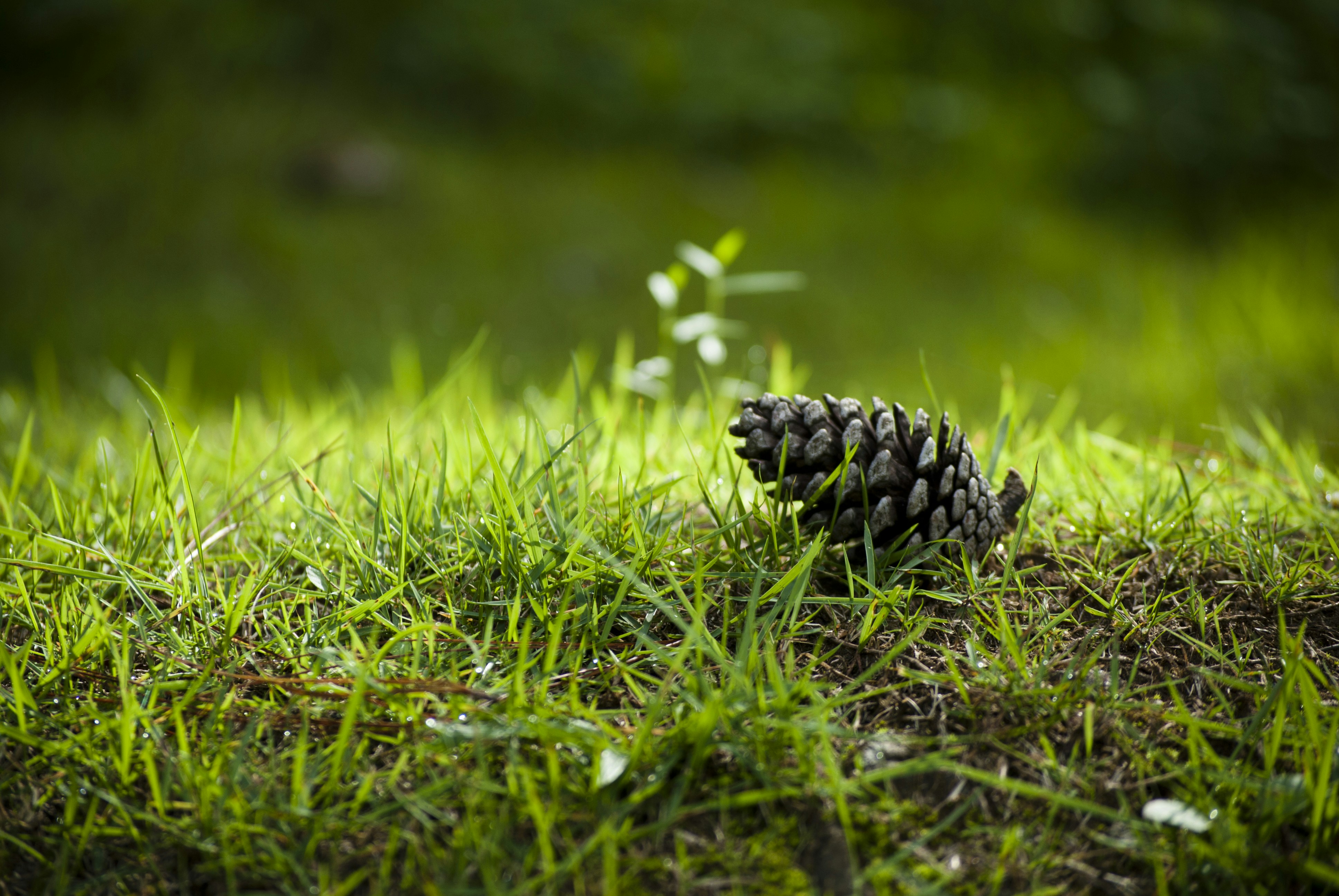 Photo by marcelpichardo