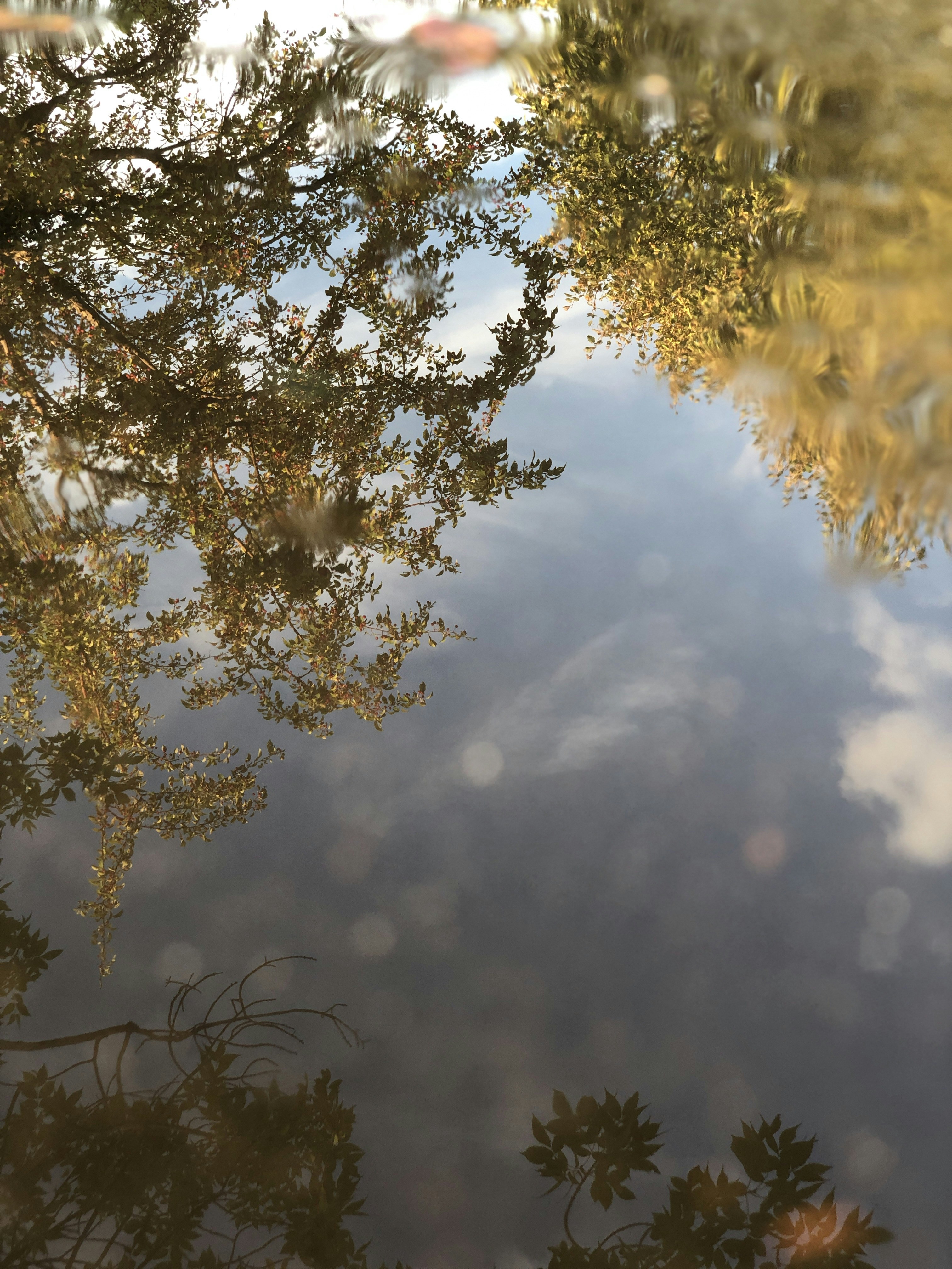 Photo by eternalseconds