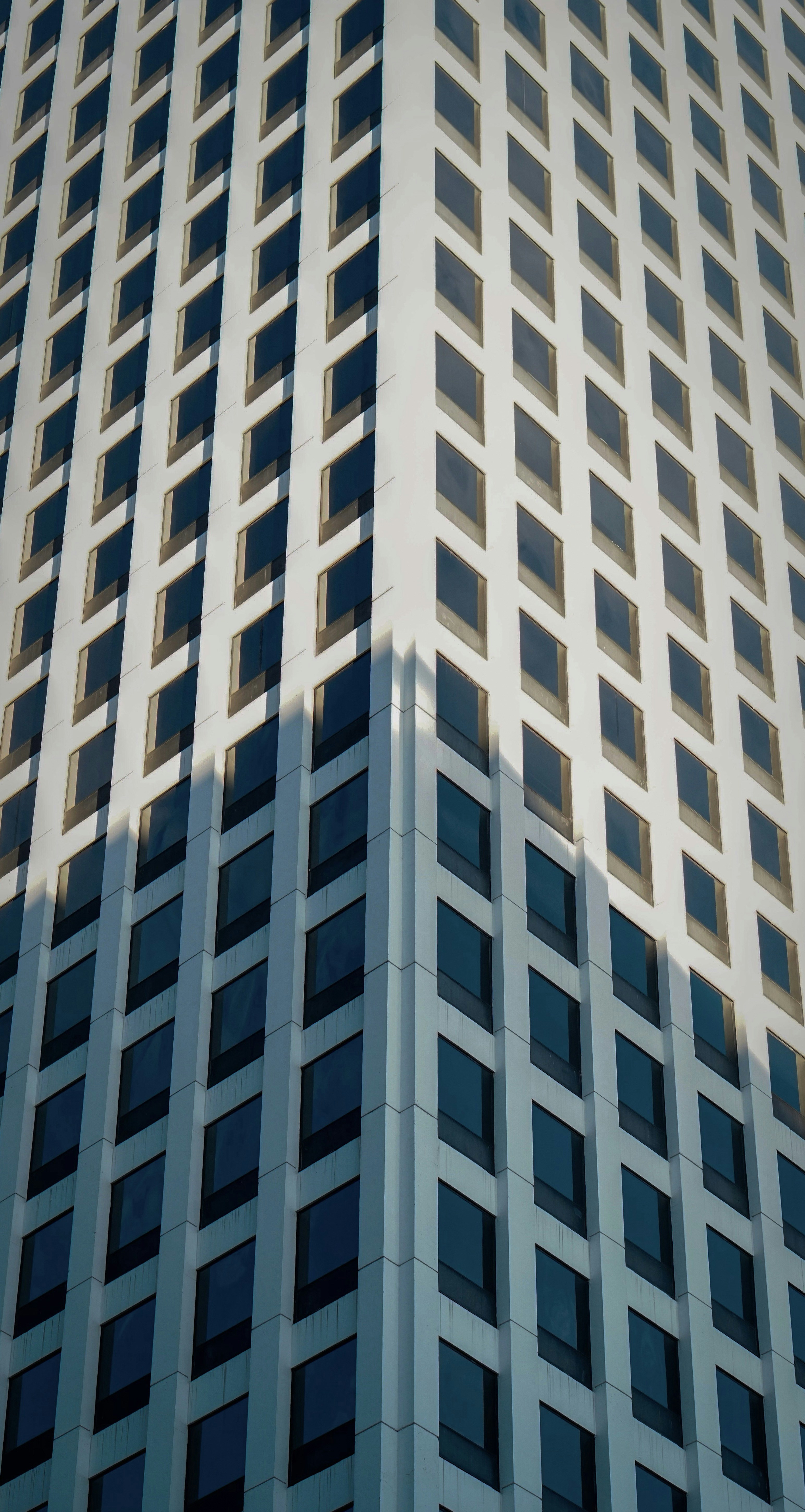 Photo by eternalseconds