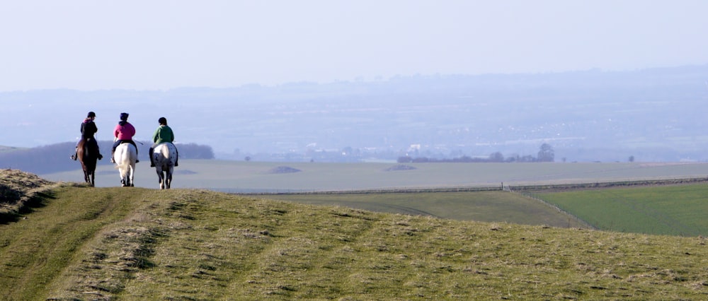 three people riding horses in green field during daytime