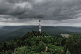A telecommunications tower is prominently located on a hill surrounded by dense, lush green forest. The landscape extends into the distance with rolling hills under a dramatic, cloudy sky, creating a sense of vastness and isolation.