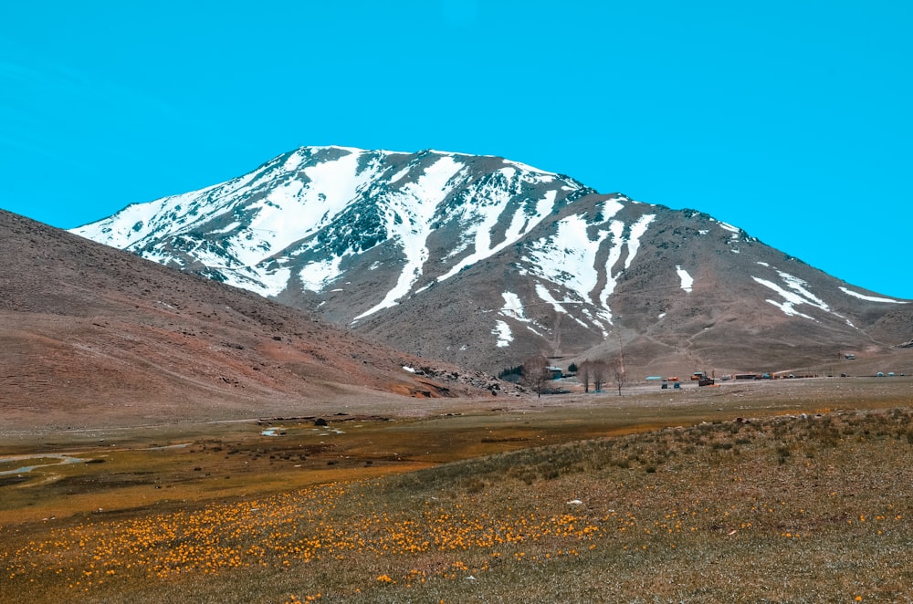 landscape photography of mountain alps