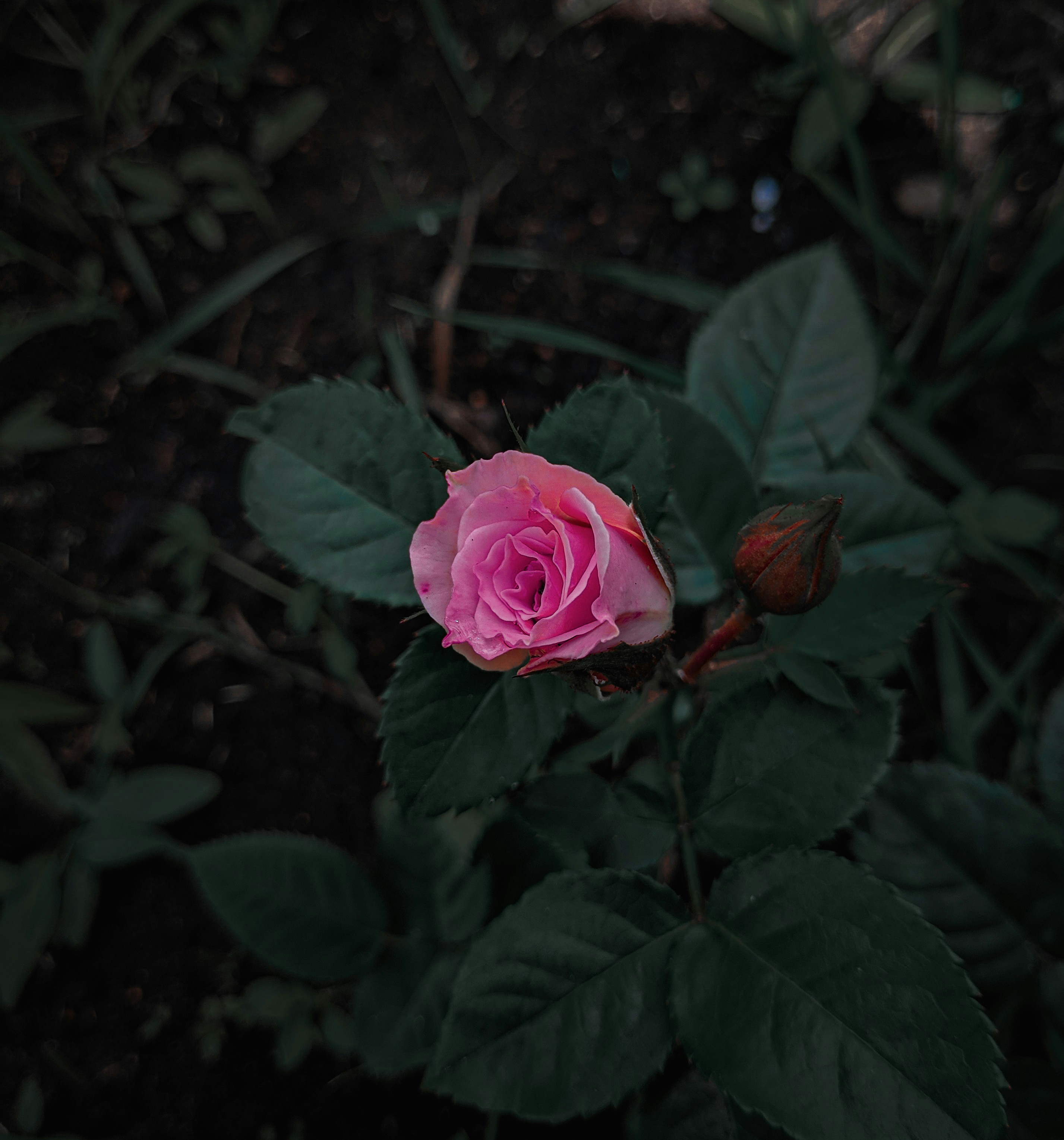 Photo by hidayatnur_k