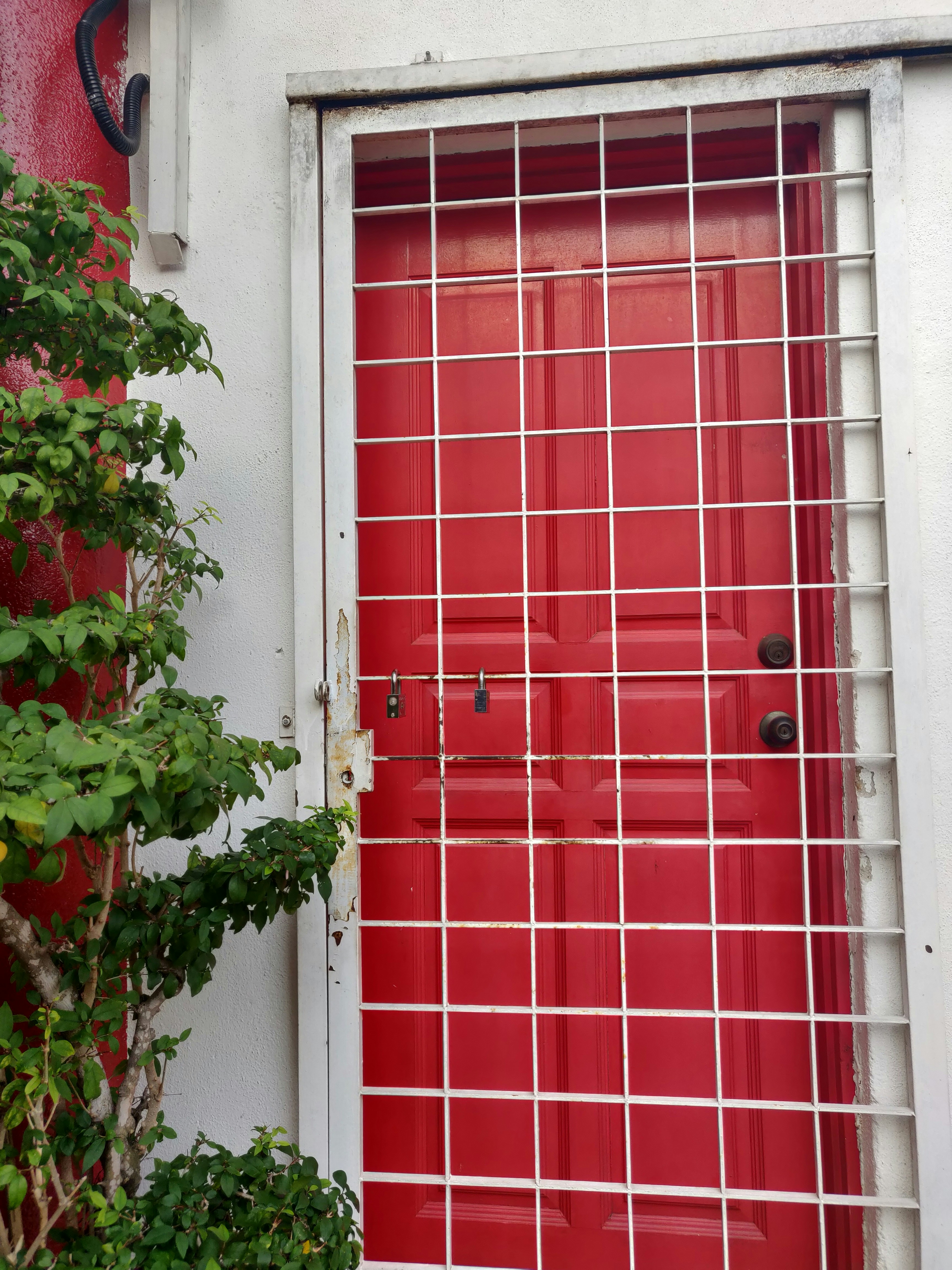 Photo by priyankasingh31